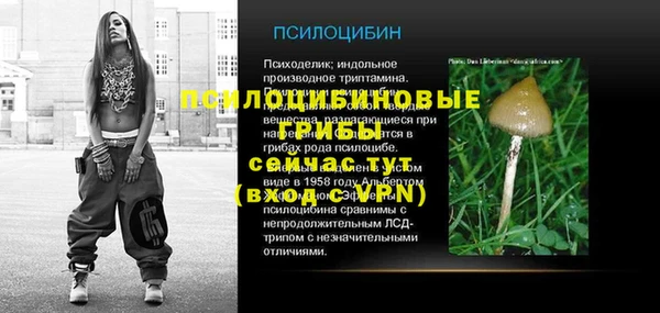 бутират Белокуриха