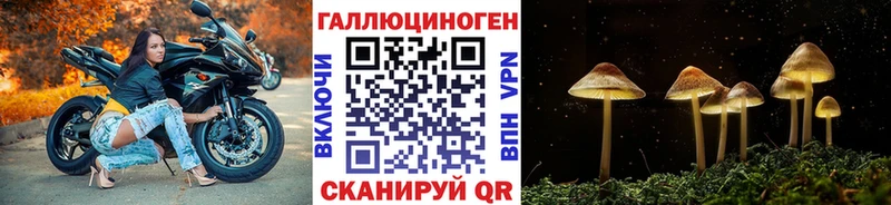 Псилоцибиновые грибы Psilocybe  наркошоп  Жирновск 